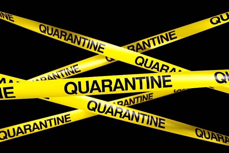 Are you Quarantined in a Moldy House?