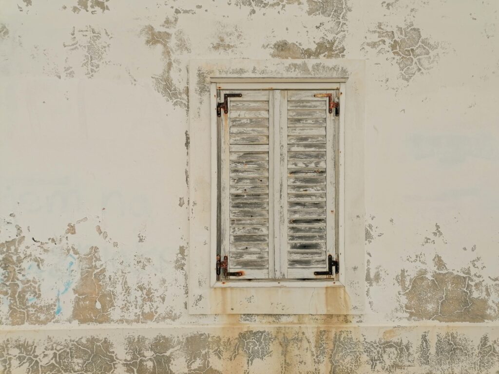 How Fast Does Mold Grow After a Water Leak? Moisture Master Pros LLC