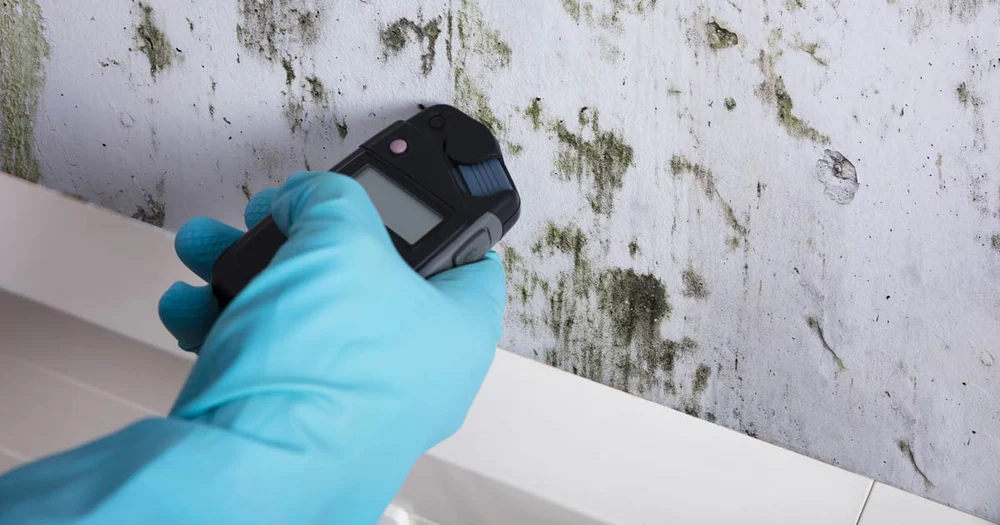 Mastering Mold Testing: Your Comprehensive Guide to Testing for Mold in Your Home!