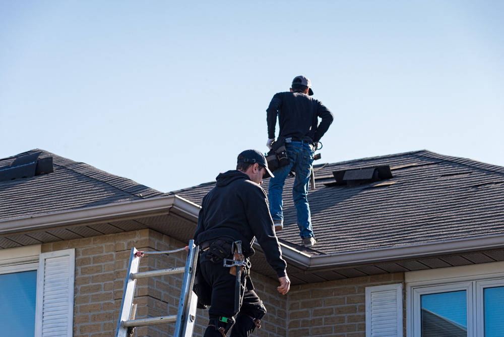 Tip #3: Roof Check—Exterior Inspection Made Easy!