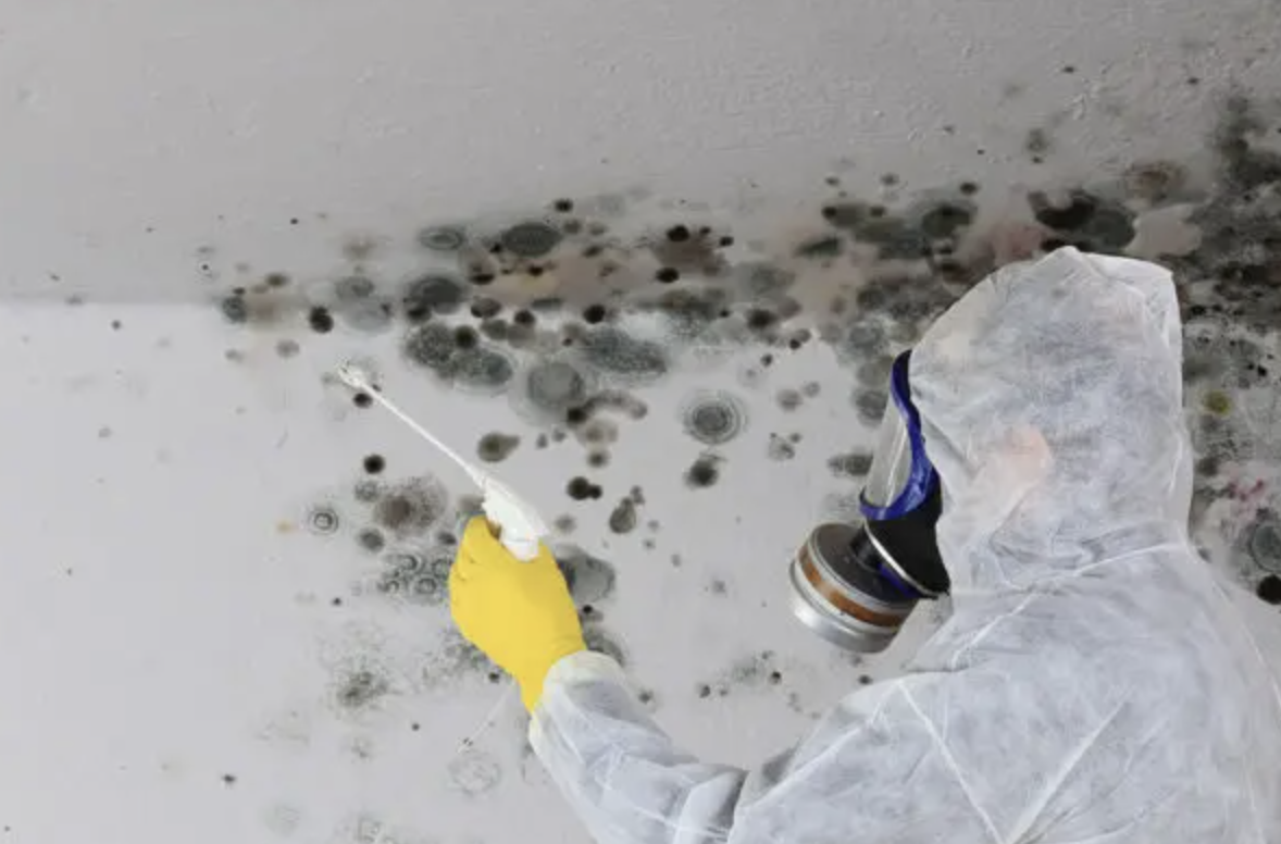 Tip #30: How to know if I need Mold Inspection?